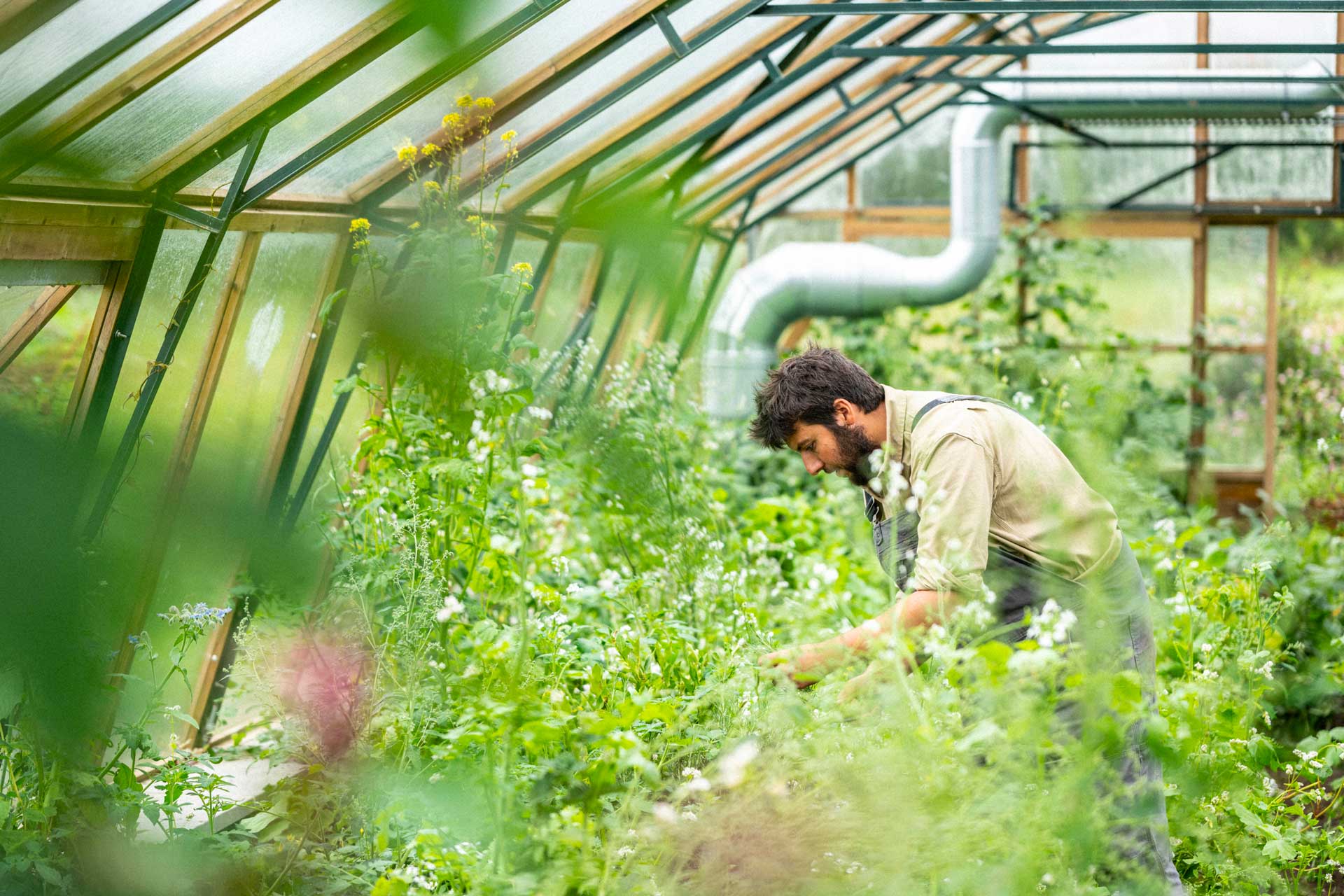 Woolsery Collective gardener Josh Sparks at Birch Farm