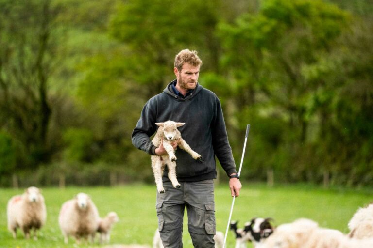 Farmer and lamb at Birch Farm, Woolsery