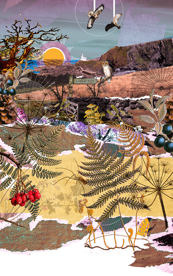 The Collective at Woolsery winter time