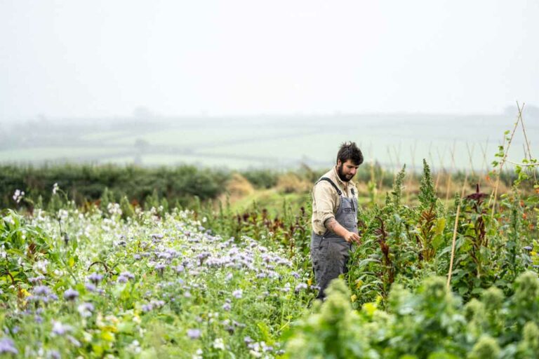 Woolsery Collective gardener Josh Sparks at Birch Farm