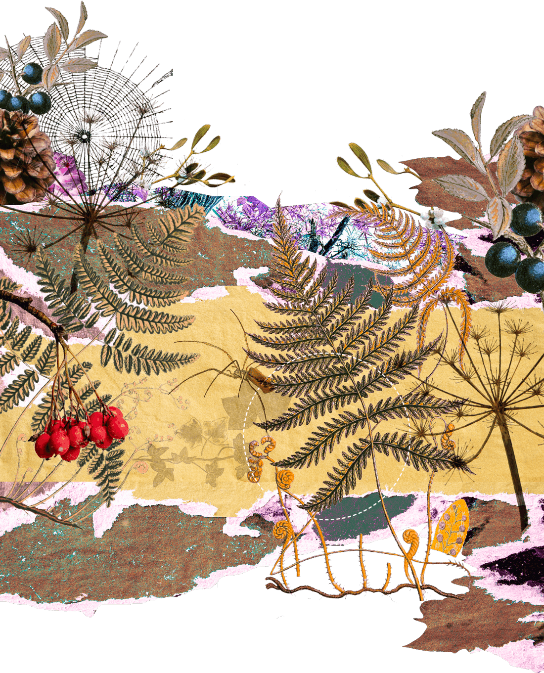 The Collective at Woolsery winter floral